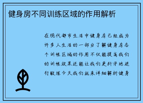 健身房不同训练区域的作用解析